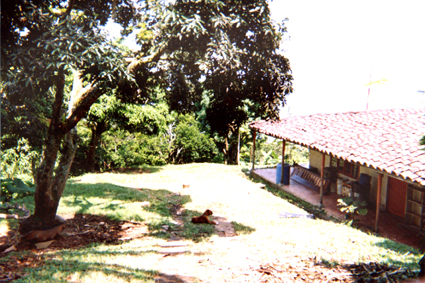 499-14.jpg