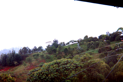 497-3.jpg