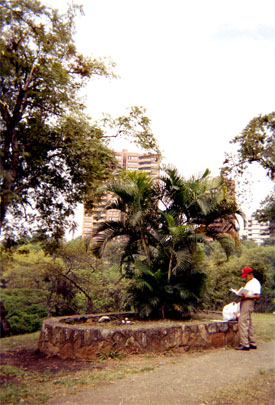 019-14.jpg