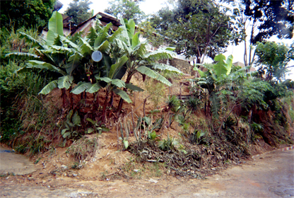 427-7.jpg