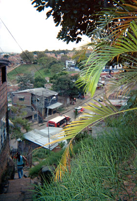 388-16.jpg