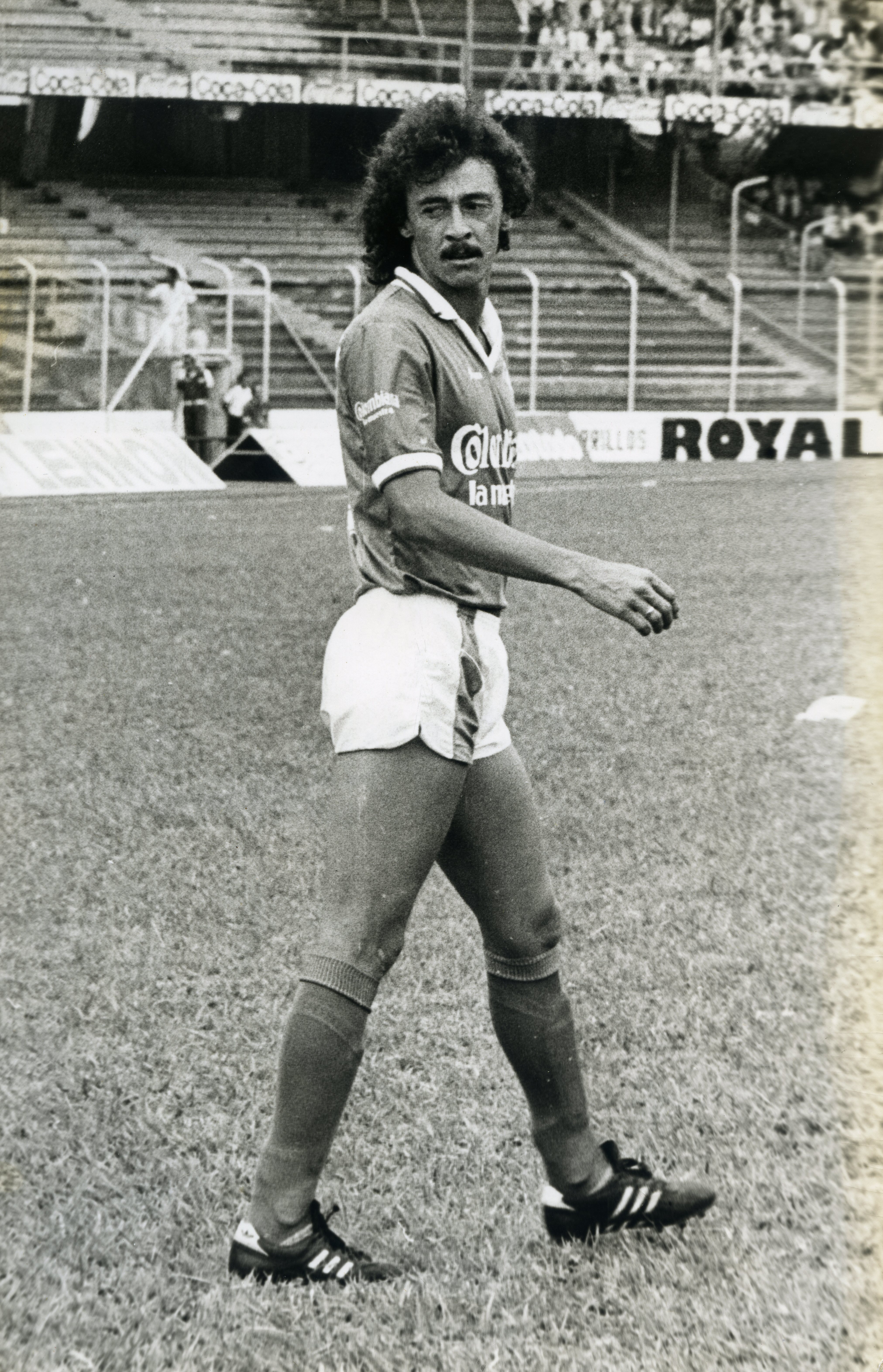 FDO018129.jpg