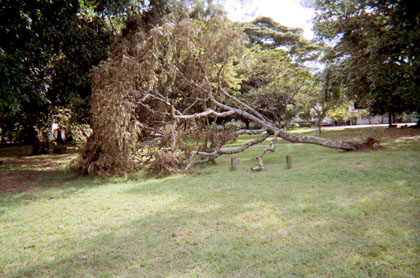 353-15.jpg