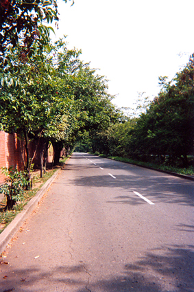 515-25.jpg