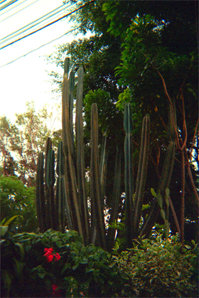 182-19.jpg