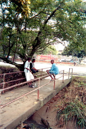 243-13.jpg