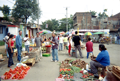386-5.jpg