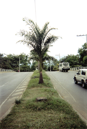 370-27.jpg