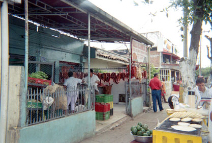 381-11.jpg