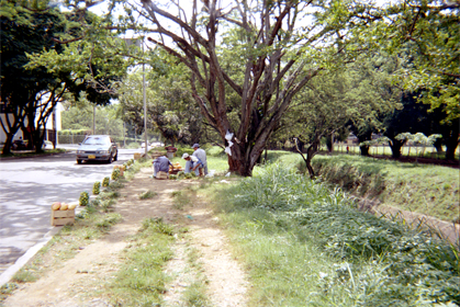 444-15.jpg