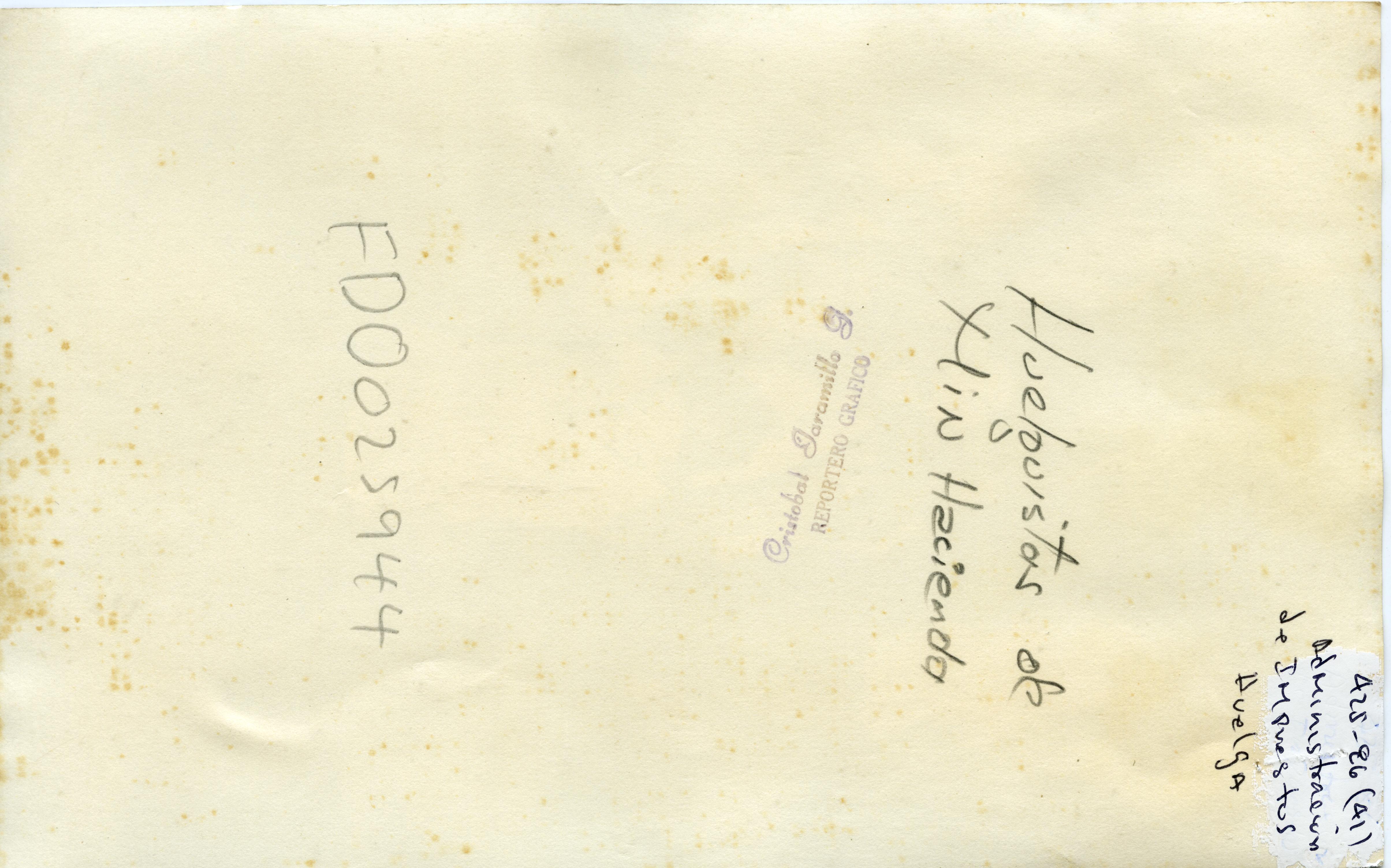 FDO025944A.jpg