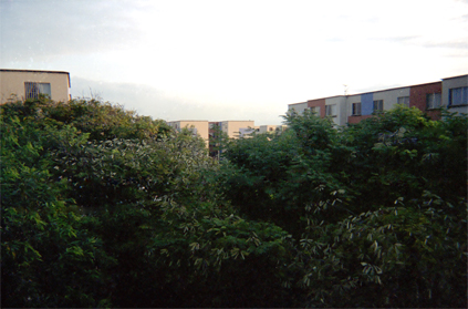 360-1.jpg