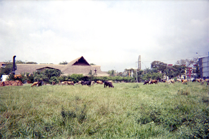 352-12.jpg
