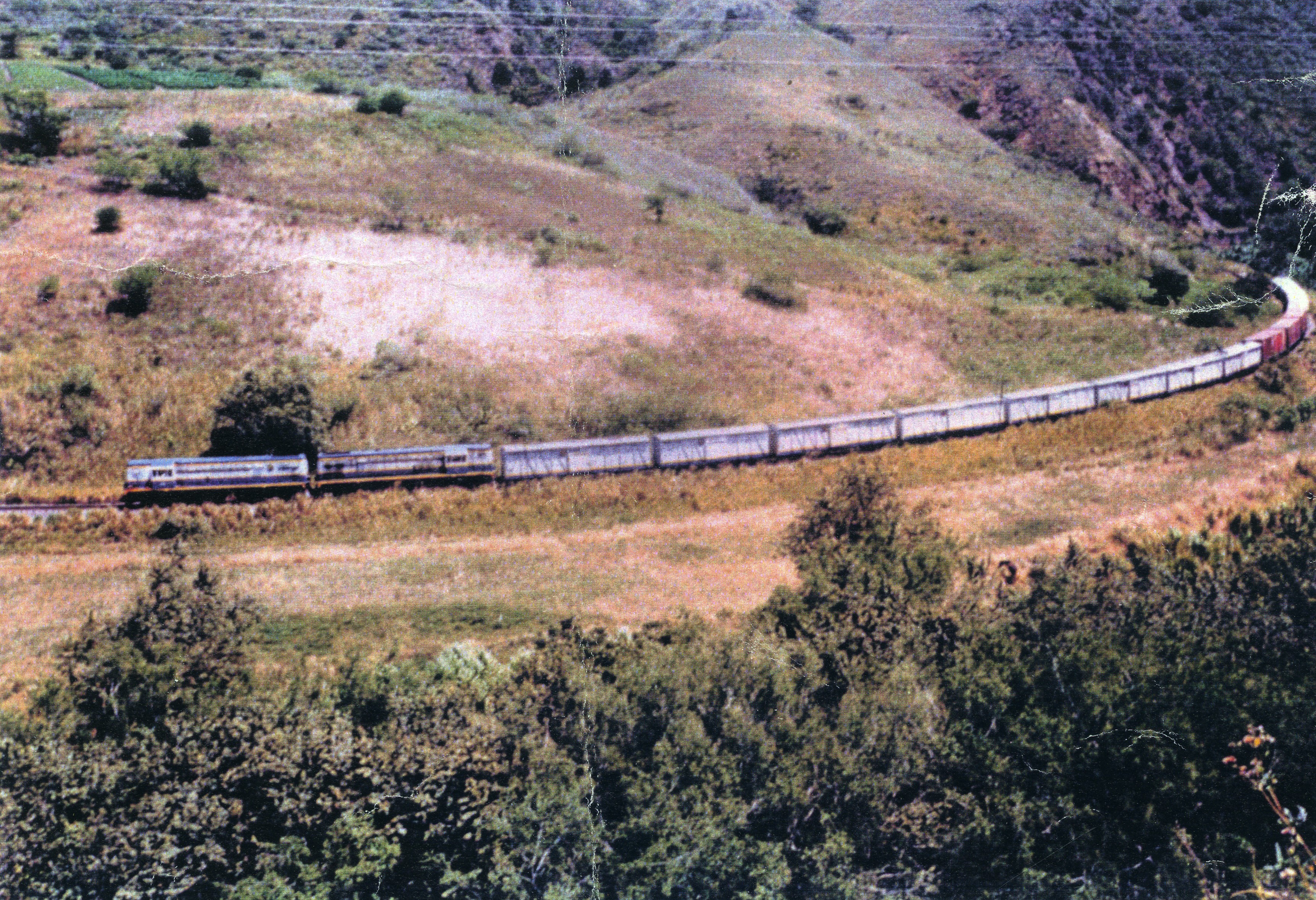 FDO015282.jpg