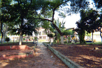 173-22.jpg