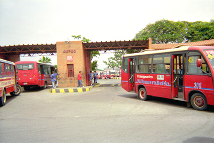 269-7.jpg