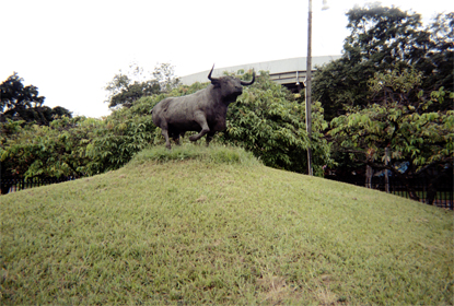 368-22.jpg