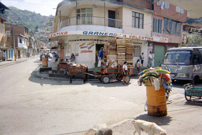 468-13.jpg