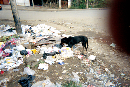 389-18.jpg