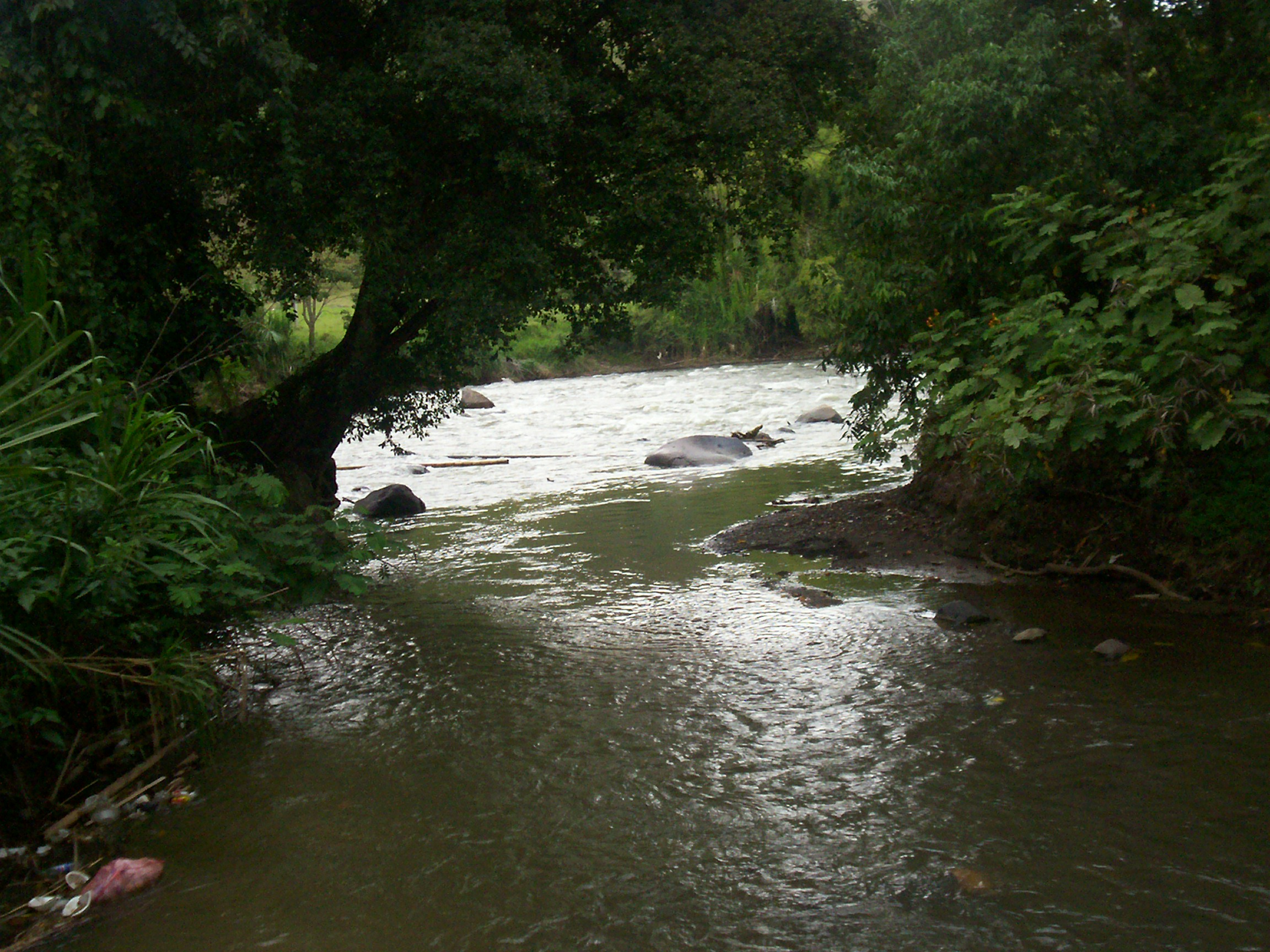 PCCC0824.jpg