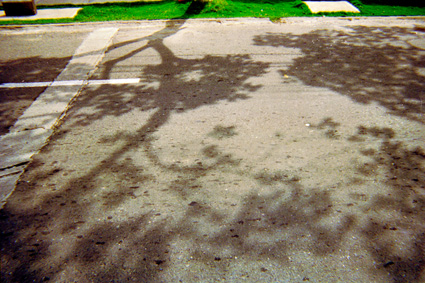 051-20.jpg