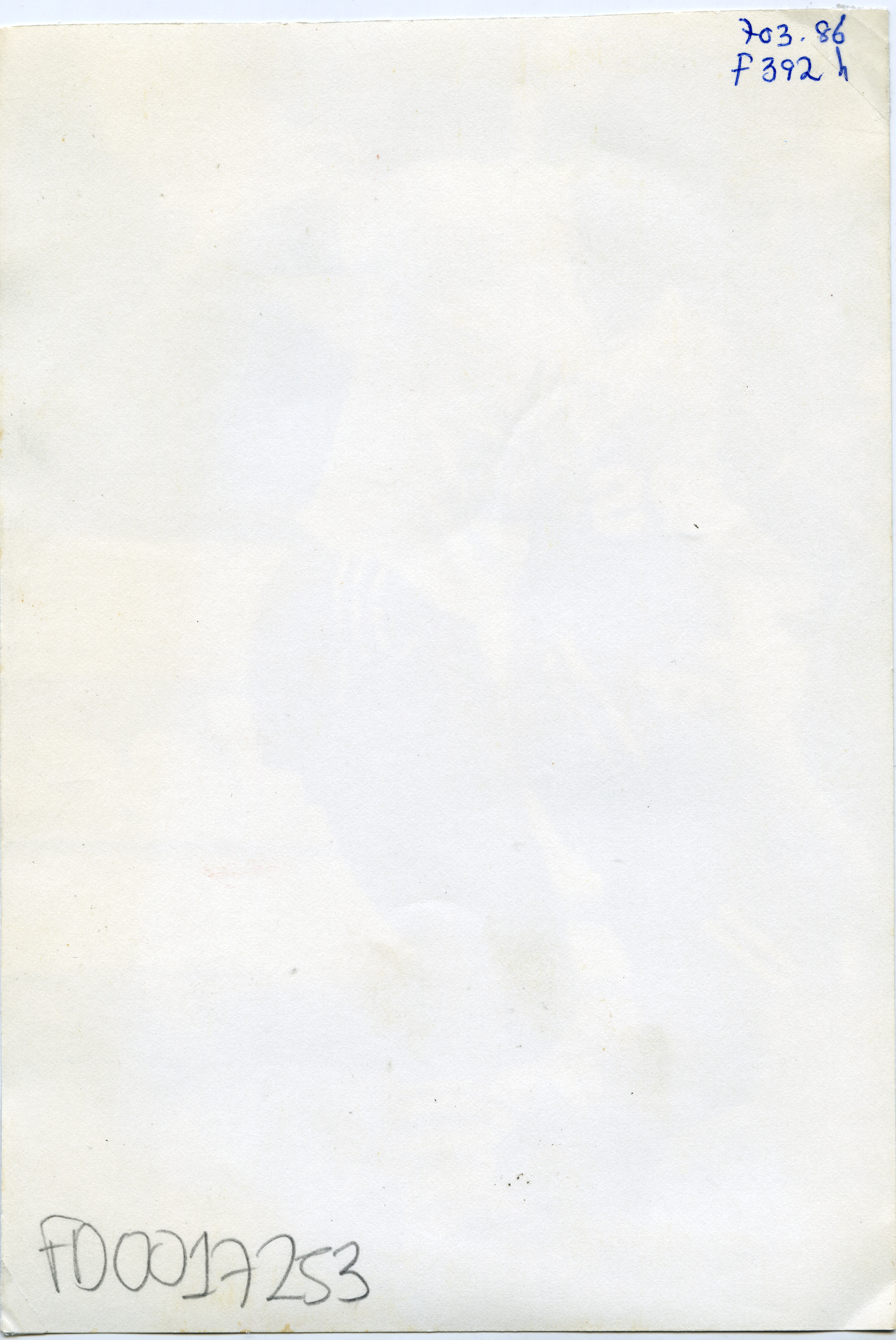 FDO017253A.jpg