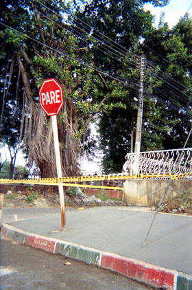 181-7.jpg