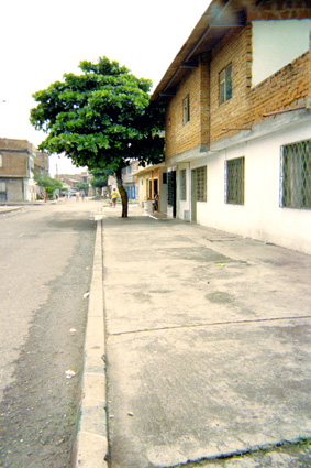 257-2.jpg