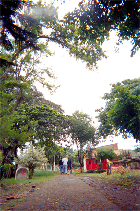 243-11.jpg