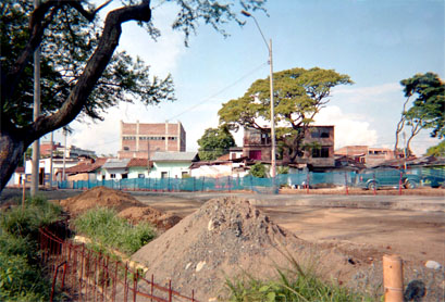 029-19.jpg