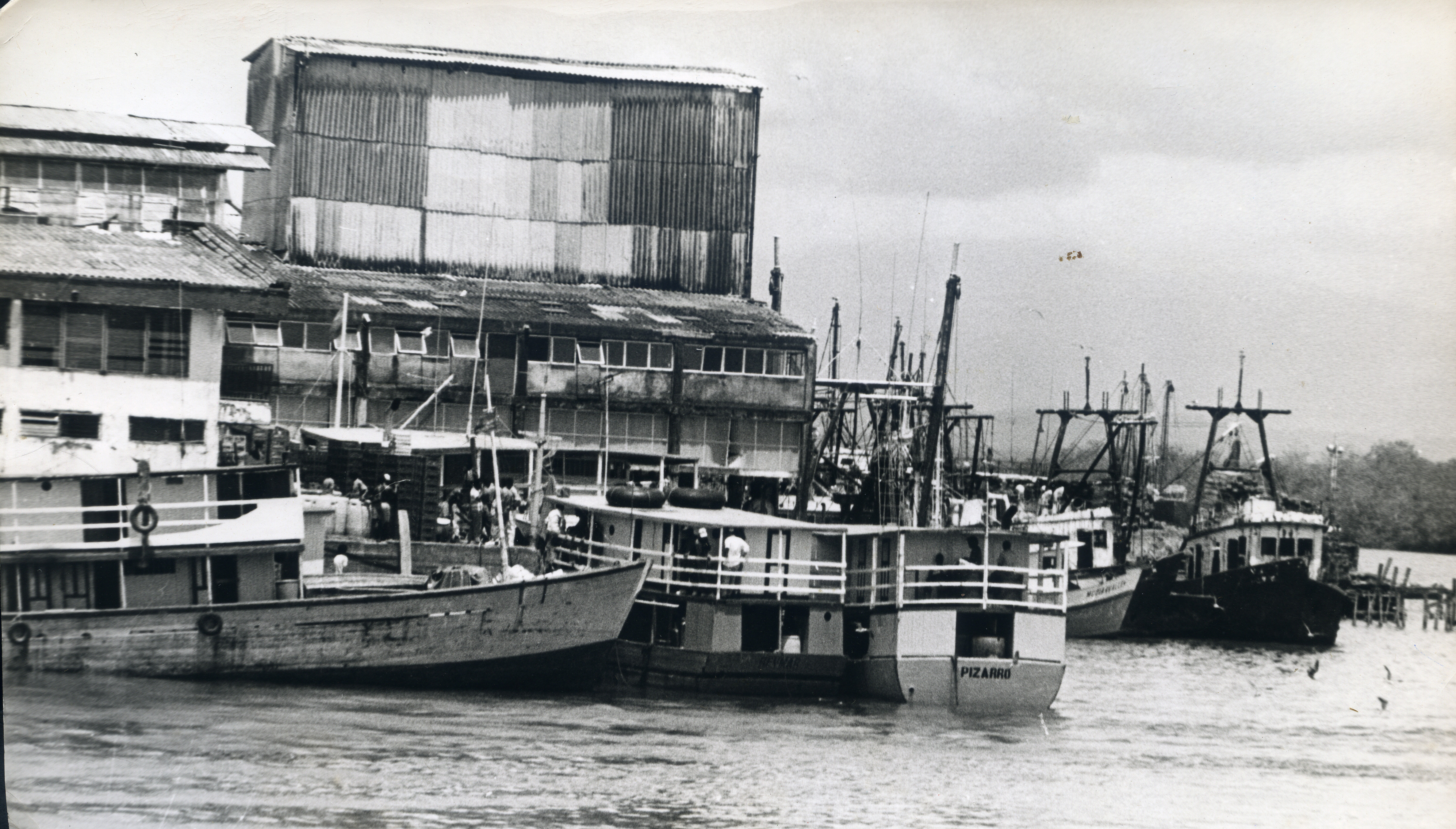 Fdo 011932.jpg
