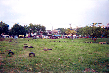 110-8.jpg