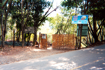 510-11.jpg