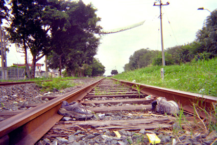 084-1.jpg