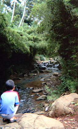 463-2.jpg