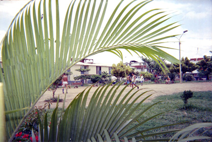 469-19.jpg