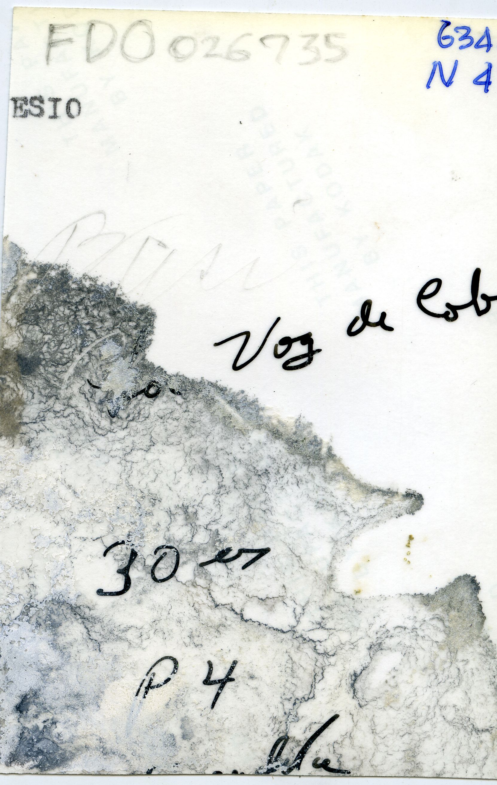 FDO026735A.jpg