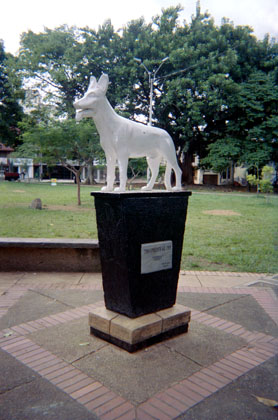448-21.jpg
