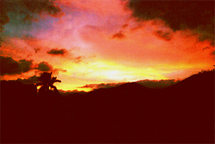 003-7.jpg
