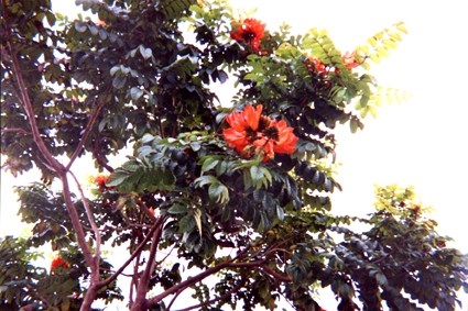 485-29.jpg