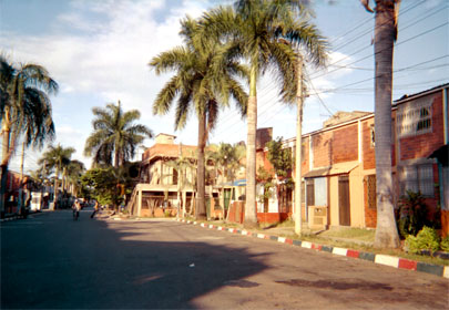 121-20.jpg