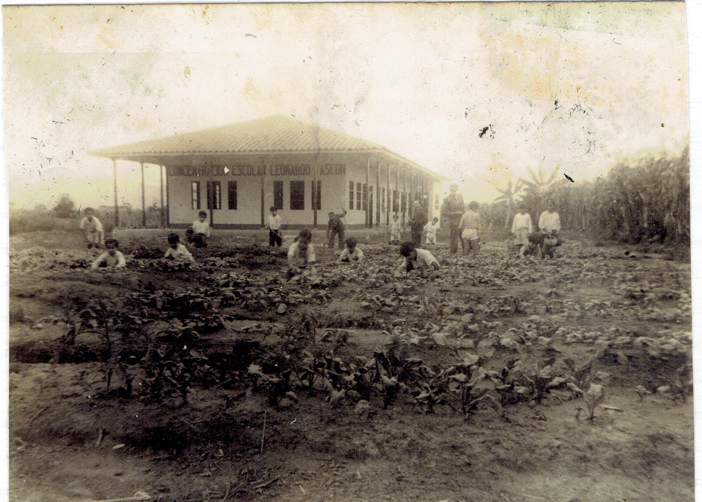 VALLE000770.jpg