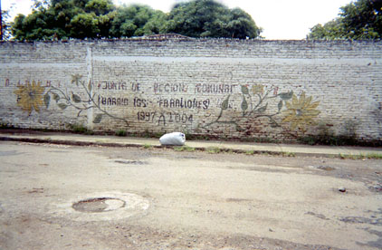 384-25.jpg