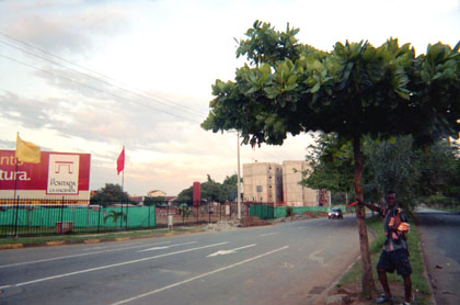 355-11.jpg