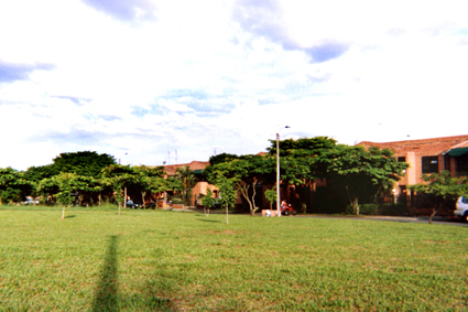 491-7.jpg