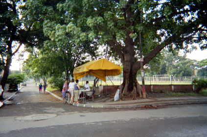228-2.jpg