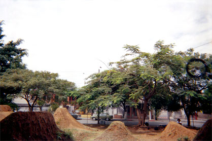 133-2.jpg