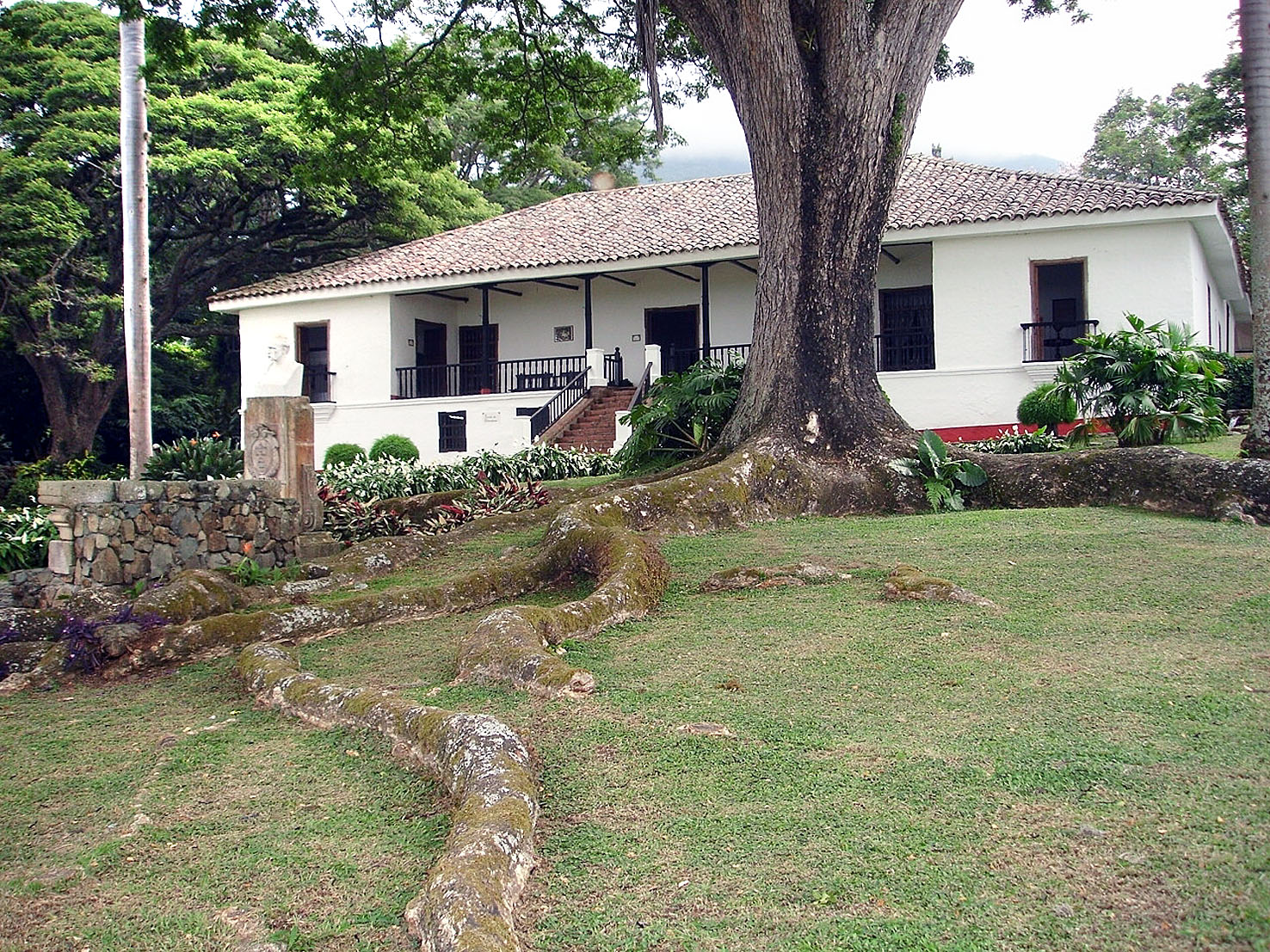 RFV001207.jpg
