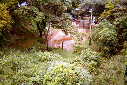 049-21.jpg