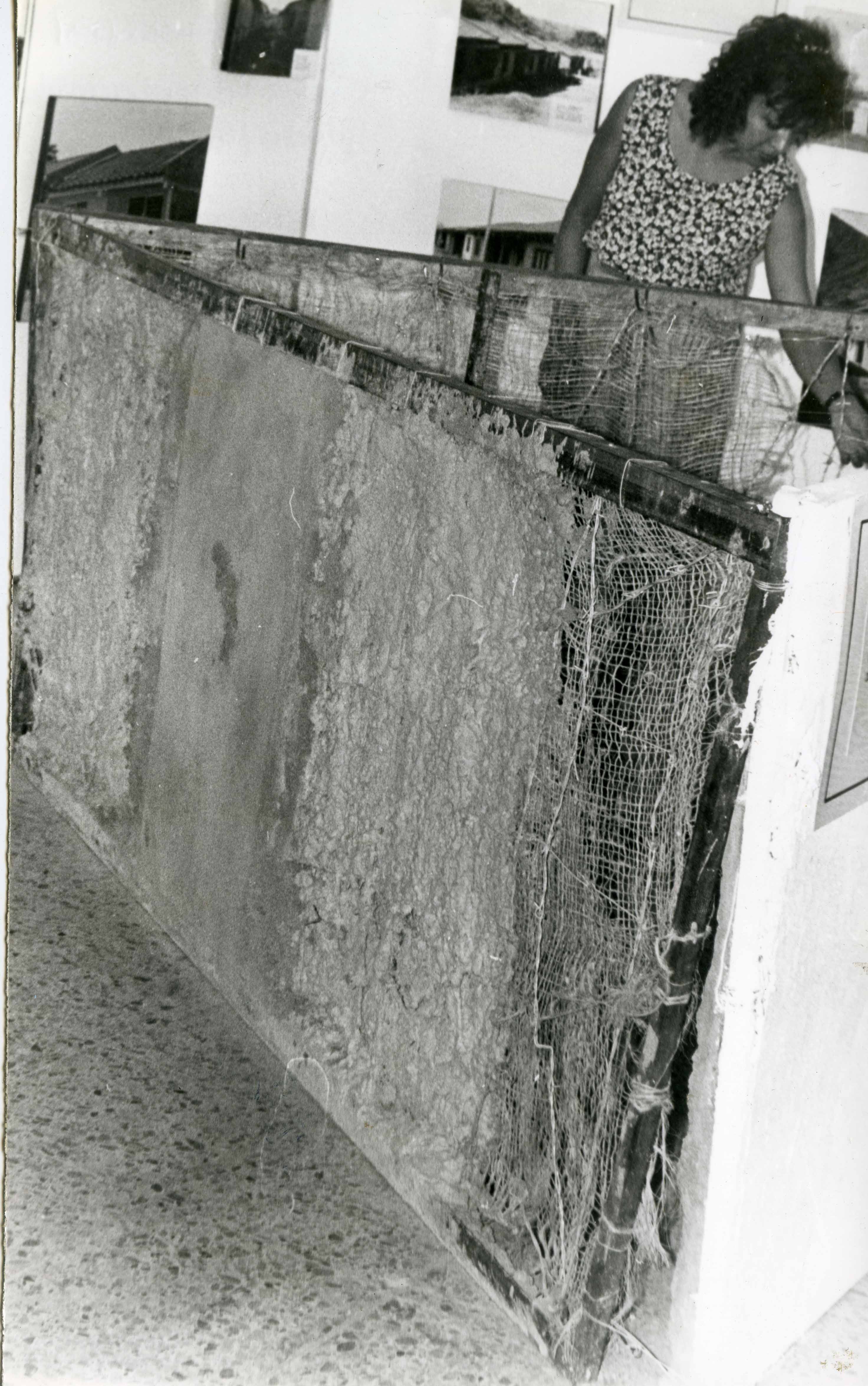 FDO08529.jpg